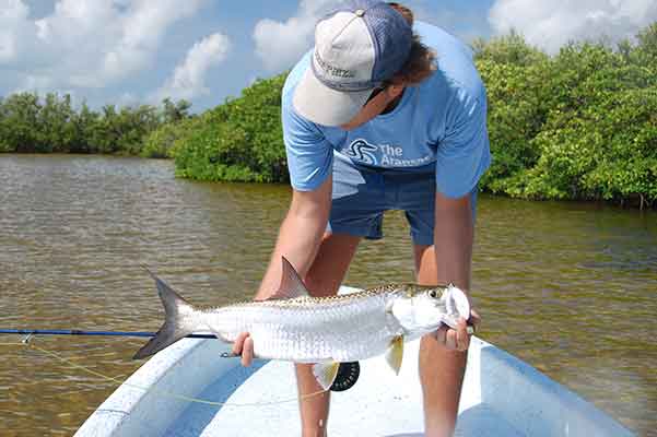 Tarpon Flies for Campeche Tarpon Fly Fishing Mexico